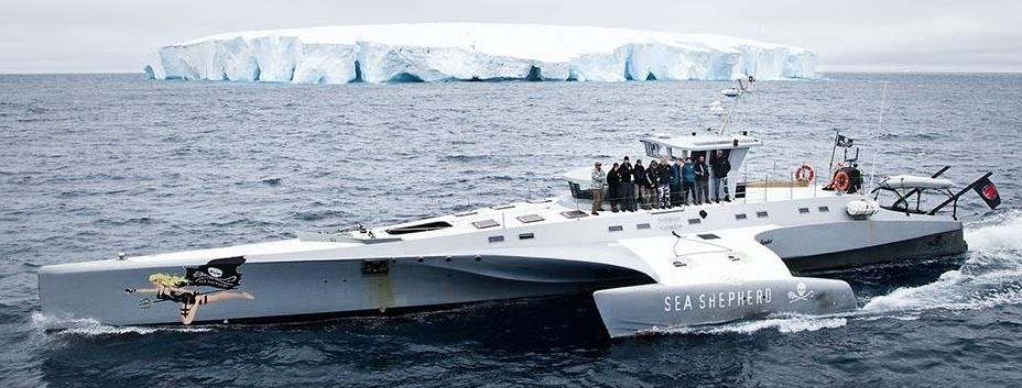 Sea Shepherd Brigitte Bardot